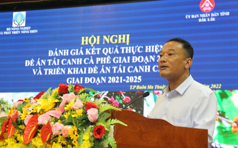 Bộ Nông nghiệp và Phát triển nông thôn triển khai Đề án tái canh cà phê giai đoạn giai đoạn 2021 - 2025